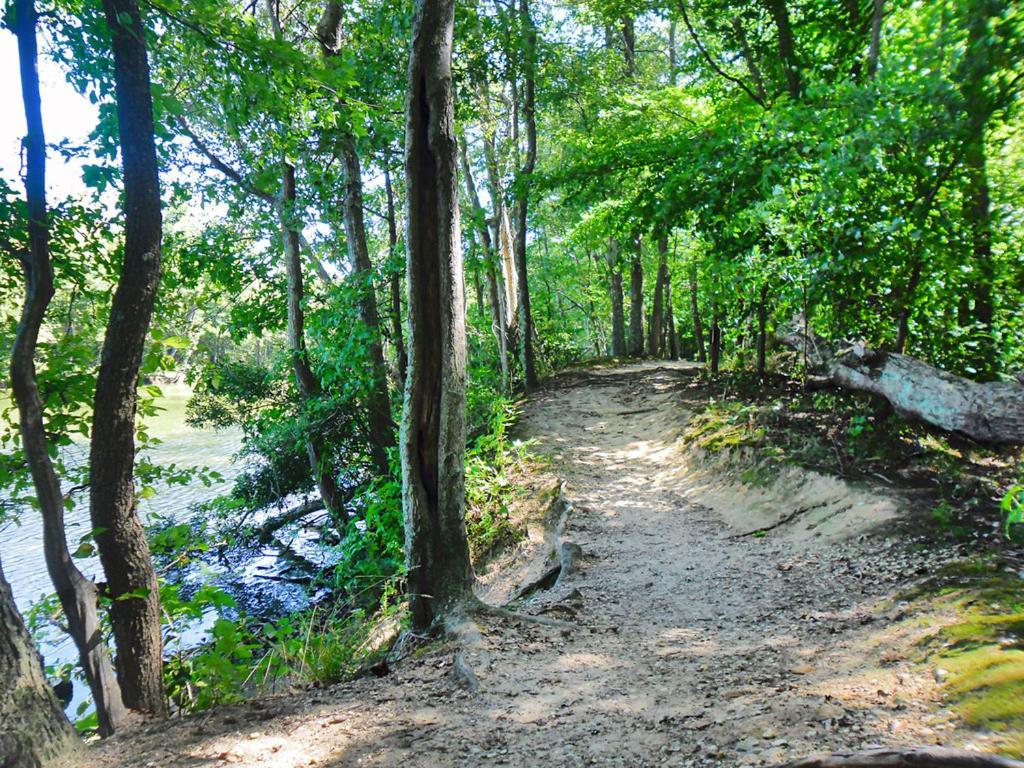 Private Boho Bungalow 10 Minutes To Downtown Rva! Richmond Exteriör bild